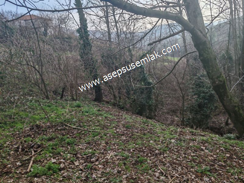 850 ve 921 M2 İmarlı Arsa 2 Kat %40 Müstakil Köy Evi, Bağ-Bahçe