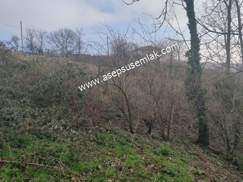 850 ve 921 M2 İmarlı Arsa 2 Kat %40 Müstakil Köy Evi, Bağ-Bahçe