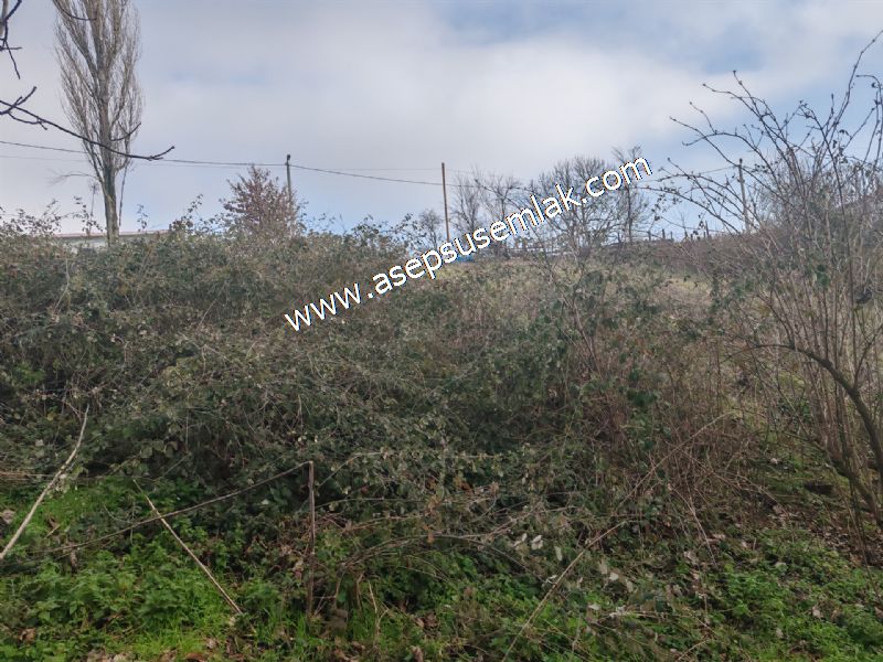 850 ve 921 M2 İmarlı Arsa 2 Kat %40 Müstakil Köy Evi, Bağ-Bahçe