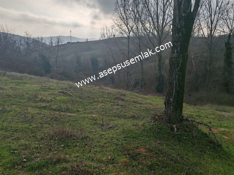 850 ve 921 M2 İmarlı Arsa 2 Kat %40 Müstakil Köy Evi, Bağ-Bahçe
