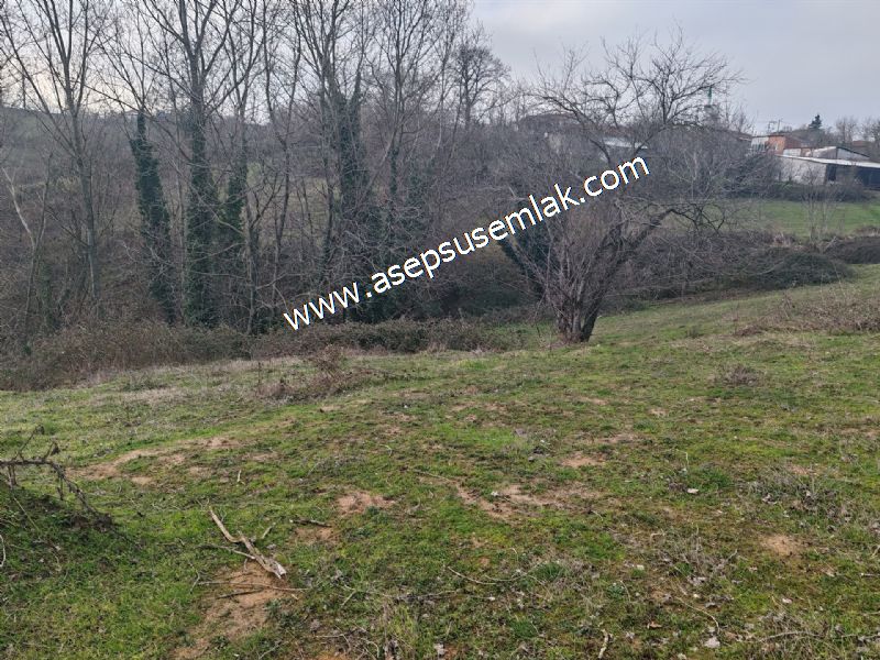 850 ve 921 M2 İmarlı Arsa 2 Kat %40 Müstakil Köy Evi, Bağ-Bahçe