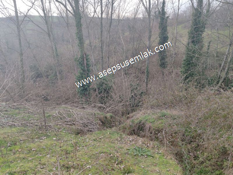 850 ve 921 M2 İmarlı Arsa 2 Kat %40 Müstakil Köy Evi, Bağ-Bahçe