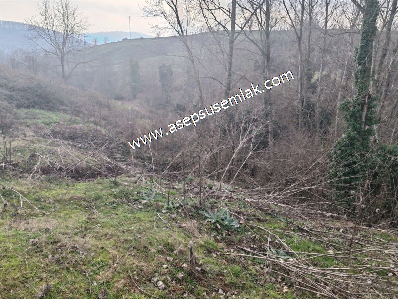 850 ve 921 M2 İmarlı Arsa 2 Kat %40 Müstakil Köy Evi, Bağ-Bahçe