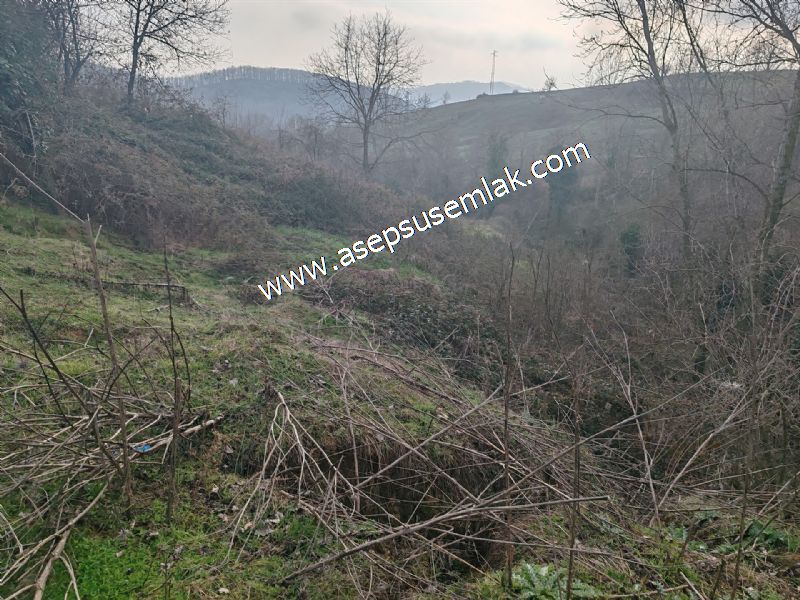 850 ve 921 M2 İmarlı Arsa 2 Kat %40 Müstakil Köy Evi, Bağ-Bahçe
