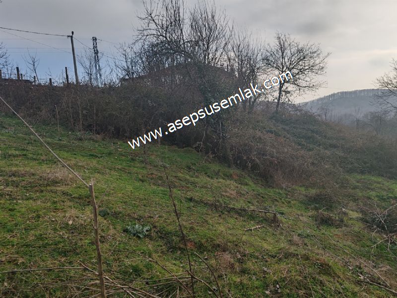 850 ve 921 M2 İmarlı Arsa 2 Kat %40 Müstakil Köy Evi, Bağ-Bahçe