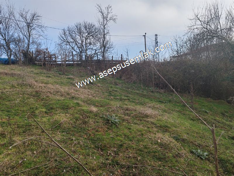 850 ve 921 M2 İmarlı Arsa 2 Kat %40 Müstakil Köy Evi, Bağ-Bahçe