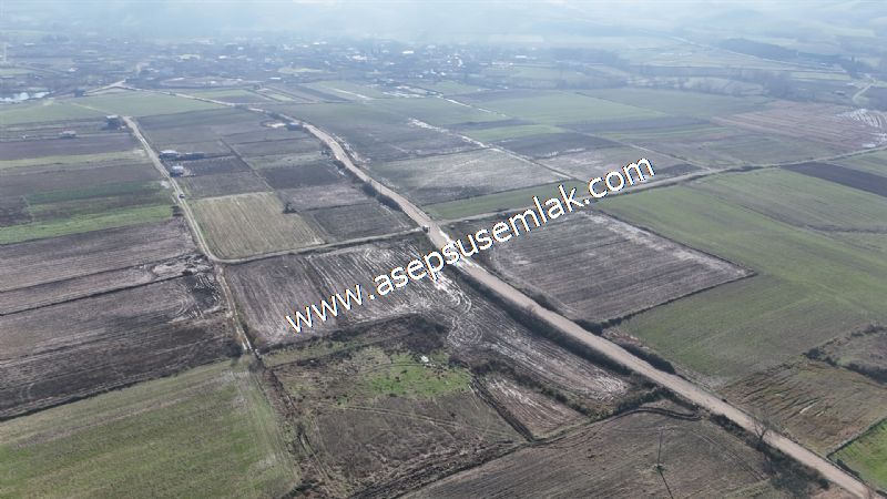 4.379 M2 Tütüncü Hobi Bahçesi Bungalov Bağ-Bahçe Yol-Su Var