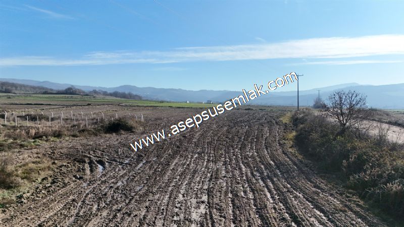 4.379 M2 Tütüncü Hobi Bahçesi Bungalov Bağ-Bahçe Yol-Su Var