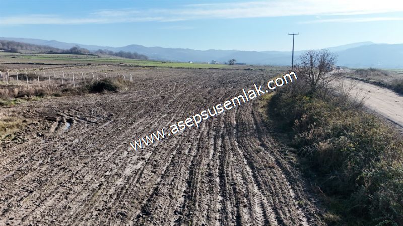4.379 M2 Tütüncü Hobi Bahçesi Bungalov Bağ-Bahçe Yol-Su Var