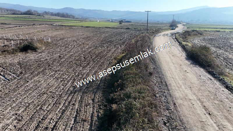 4.379 M2 Tütüncü Hobi Bahçesi Bungalov Bağ-Bahçe Yol-Su Var