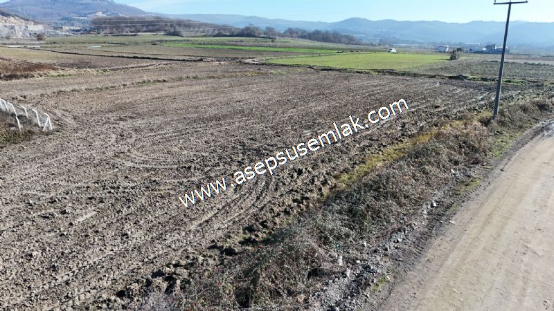 4.379 M2 Tütüncü Hobi Bahçesi Bungalov Bağ-Bahçe Yol-Su Var