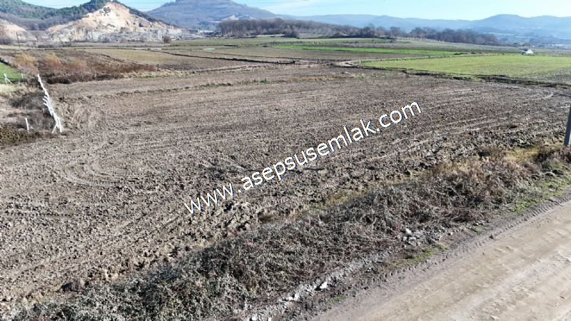 4.379 M2 Tütüncü Hobi Bahçesi Bungalov Bağ-Bahçe Yol-Su Var