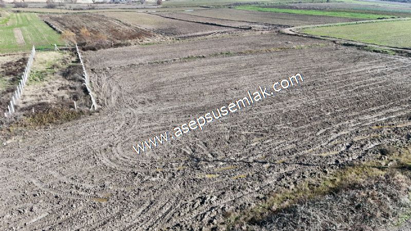 4.379 M2 Tütüncü Hobi Bahçesi Bungalov Bağ-Bahçe Yol-Su Var