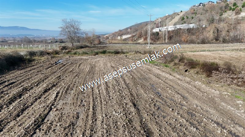 4.379 M2 Tütüncü Hobi Bahçesi Bungalov Bağ-Bahçe Yol-Su Var