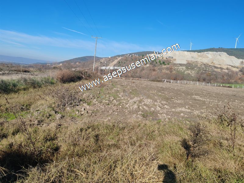 4.379 M2 Tütüncü Hobi Bahçesi Bungalov Bağ-Bahçe Yol-Su Var
