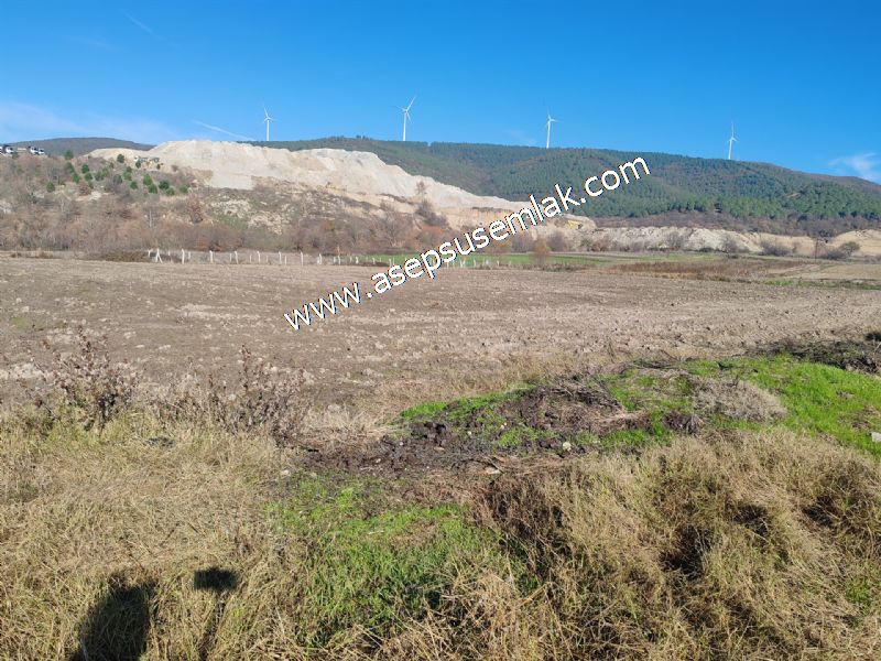 4.379 M2 Tütüncü Hobi Bahçesi Bungalov Bağ-Bahçe Yol-Su Var