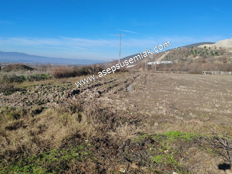 4.379 M2 Tütüncü Hobi Bahçesi Bungalov Bağ-Bahçe Yol-Su Var