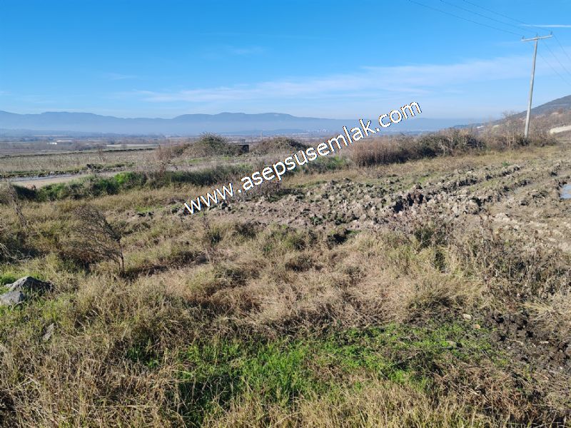 4.379 M2 Tütüncü Hobi Bahçesi Bungalov Bağ-Bahçe Yol-Su Var