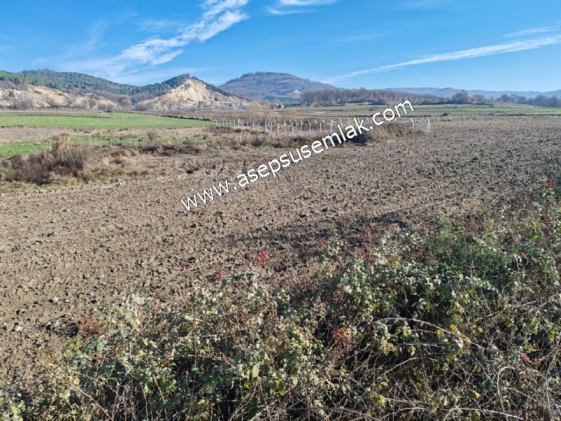 4.379 M2 Tütüncü Hobi Bahçesi Bungalov Bağ-Bahçe Yol-Su Var