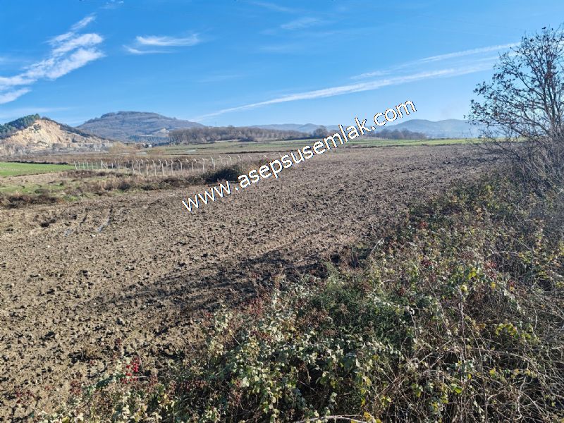 4.379 M2 Tütüncü Hobi Bahçesi Bungalov Bağ-Bahçe Yol-Su Var
