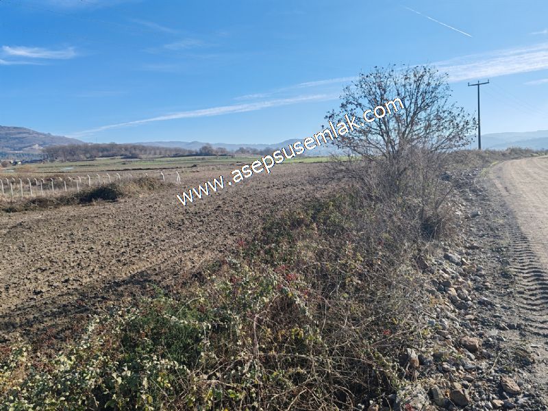 4.379 M2 Tütüncü Hobi Bahçesi Bungalov Bağ-Bahçe Yol-Su Var