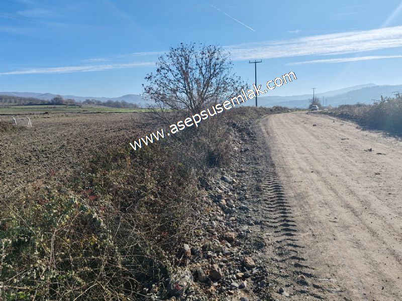4.379 M2 Tütüncü Hobi Bahçesi Bungalov Bağ-Bahçe Yol-Su Var