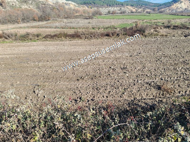 4.379 M2 Tütüncü Hobi Bahçesi Bungalov Bağ-Bahçe Yol-Su Var
