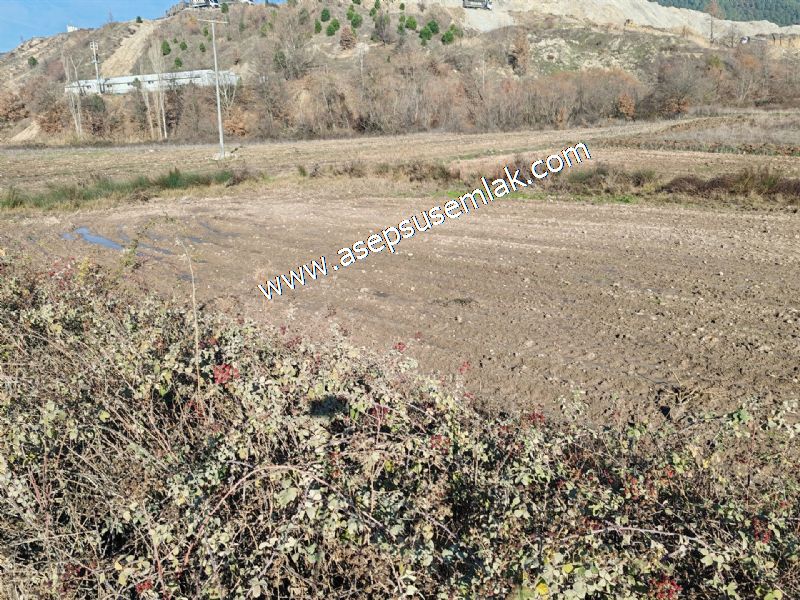 4.379 M2 Tütüncü Hobi Bahçesi Bungalov Bağ-Bahçe Yol-Su Var