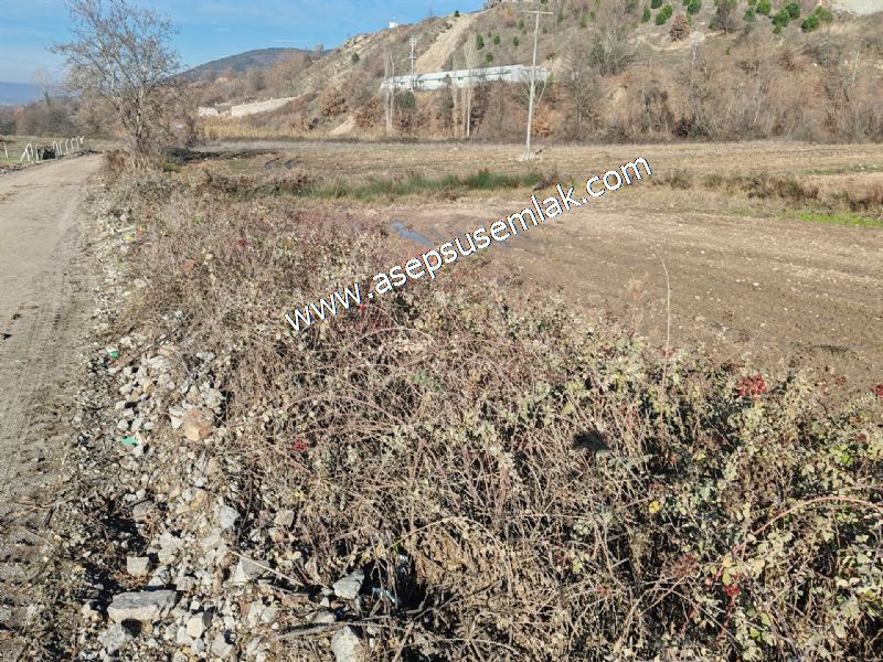 4.379 M2 Tütüncü Hobi Bahçesi Bungalov Bağ-Bahçe Yol-Su Var
