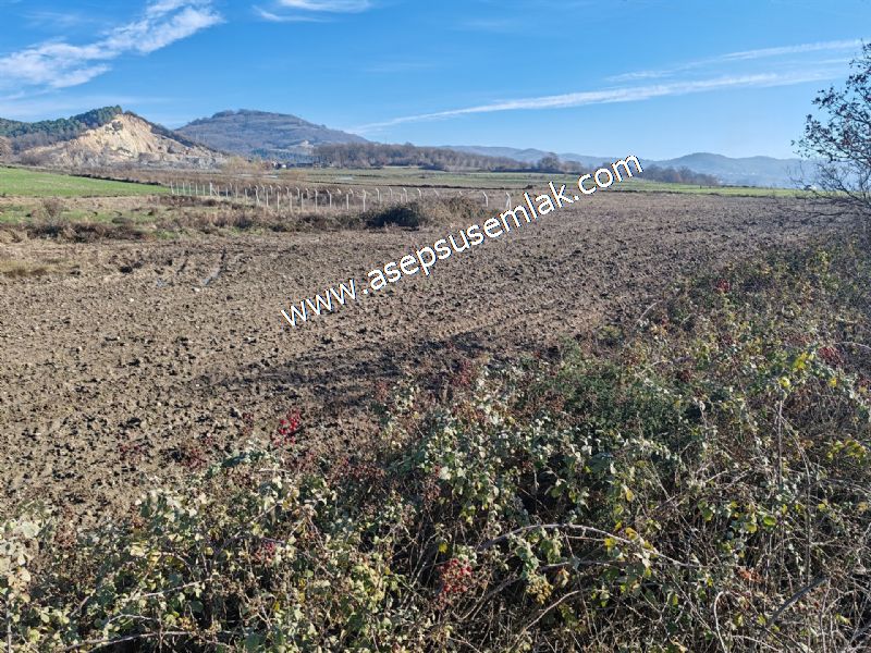 4.379 M2 Tütüncü Hobi Bahçesi Bungalov Bağ-Bahçe Yol-Su Var