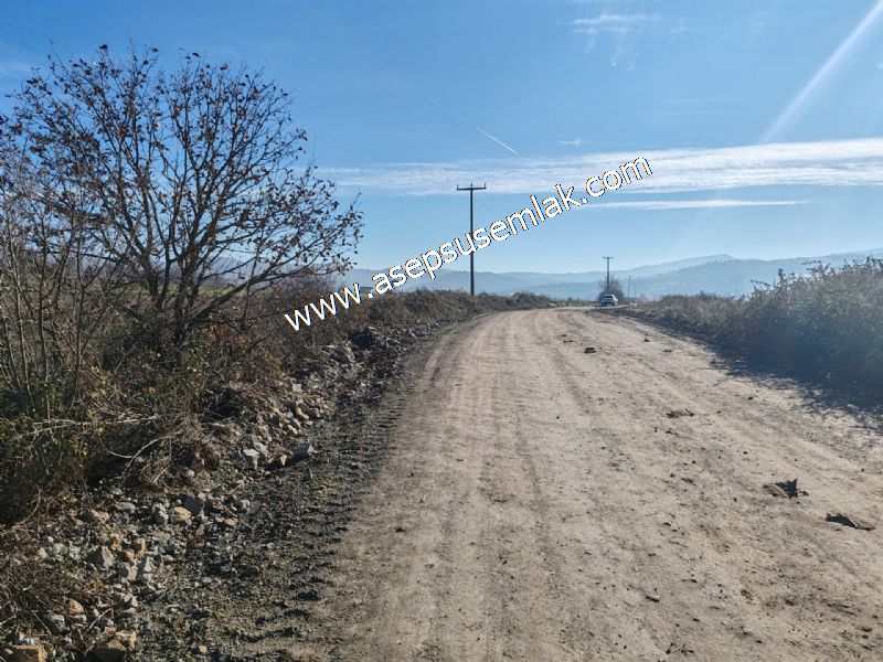 4.379 M2 Tütüncü Hobi Bahçesi Bungalov Bağ-Bahçe Yol-Su Var