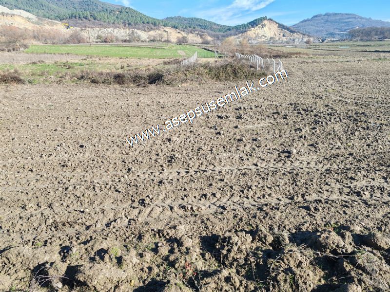 4.379 M2 Tütüncü Hobi Bahçesi Bungalov Bağ-Bahçe Yol-Su Var