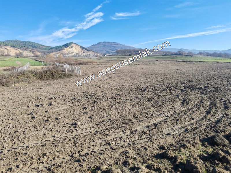 4.379 M2 Tütüncü Hobi Bahçesi Bungalov Bağ-Bahçe Yol-Su Var