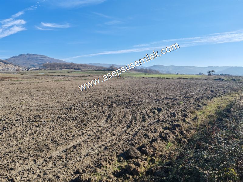 4.379 M2 Tütüncü Hobi Bahçesi Bungalov Bağ-Bahçe Yol-Su Var