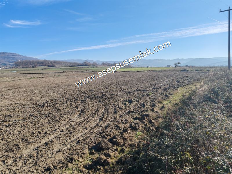 4.379 M2 Tütüncü Hobi Bahçesi Bungalov Bağ-Bahçe Yol-Su Var