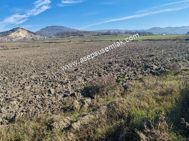 4.379 M2 Tütüncü Hobi Bahçesi Bungalov Bağ-Bahçe Yol-Su Var