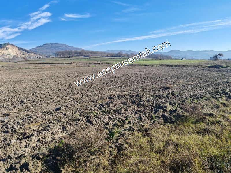 4.379 M2 Tütüncü Hobi Bahçesi Bungalov Bağ-Bahçe Yol-Su Var