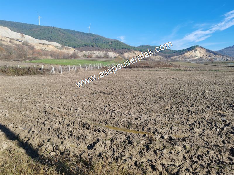 4.379 M2 Tütüncü Hobi Bahçesi Bungalov Bağ-Bahçe Yol-Su Var