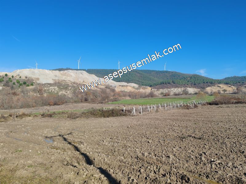 4.379 M2 Tütüncü Hobi Bahçesi Bungalov Bağ-Bahçe Yol-Su Var