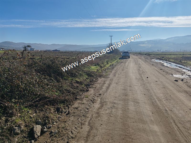 4.379 M2 Tütüncü Hobi Bahçesi Bungalov Bağ-Bahçe Yol-Su Var