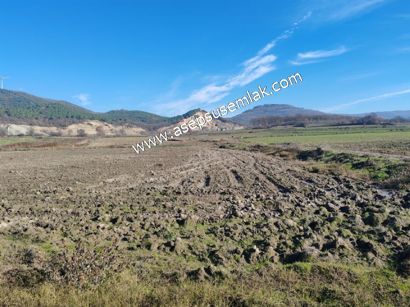 4.379 M2 Tütüncü Hobi Bahçesi Bungalov Bağ-Bahçe Yol-Su Var