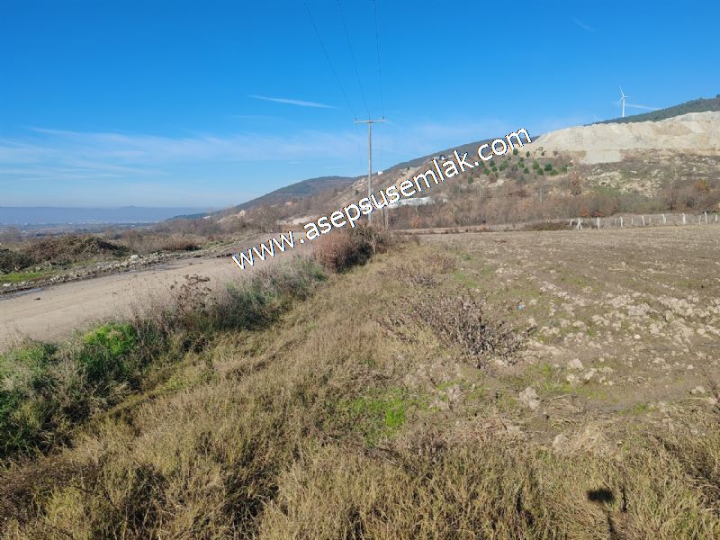 4.379 M2 Tütüncü Hobi Bahçesi Bungalov Bağ-Bahçe Yol-Su Var