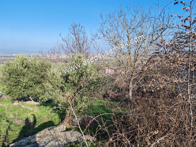 1.871 M2 Müstakil Köy Evi, Arsa 2 Kat %40 İmarlı Manyas Kızık'ta