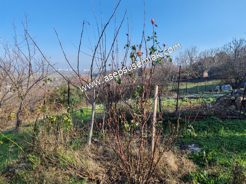1.871 M2 Müstakil Köy Evi, Arsa 2 Kat %40 İmarlı Manyas Kızık'ta