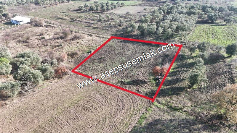 1.258 m2 Hobi Bahçesi Bağ-Bahçe Kadastro Yola Cepheli Bayramiçte