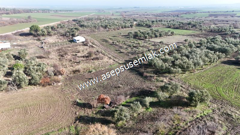 1.258 m2 Hobi Bahçesi Bağ-Bahçe Kadastro Yola Cepheli Bayramiçte