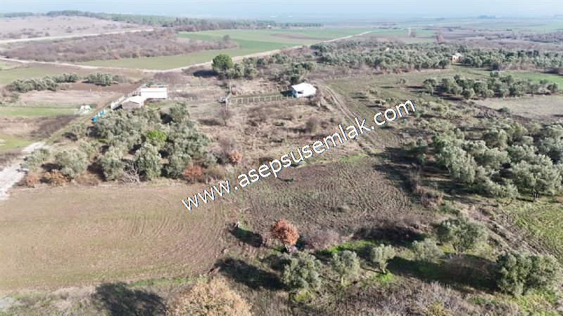 1.258 m2 Hobi Bahçesi Bağ-Bahçe Kadastro Yola Cepheli Bayramiçte