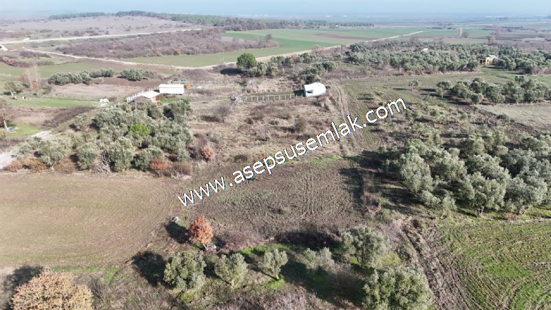 1.258 m2 Hobi Bahçesi Bağ-Bahçe Kadastro Yola Cepheli Bayramiçte