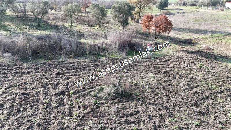 1.258 m2 Hobi Bahçesi Bağ-Bahçe Kadastro Yola Cepheli Bayramiçte