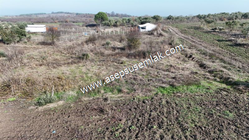 1.258 m2 Hobi Bahçesi Bağ-Bahçe Kadastro Yola Cepheli Bayramiçte
